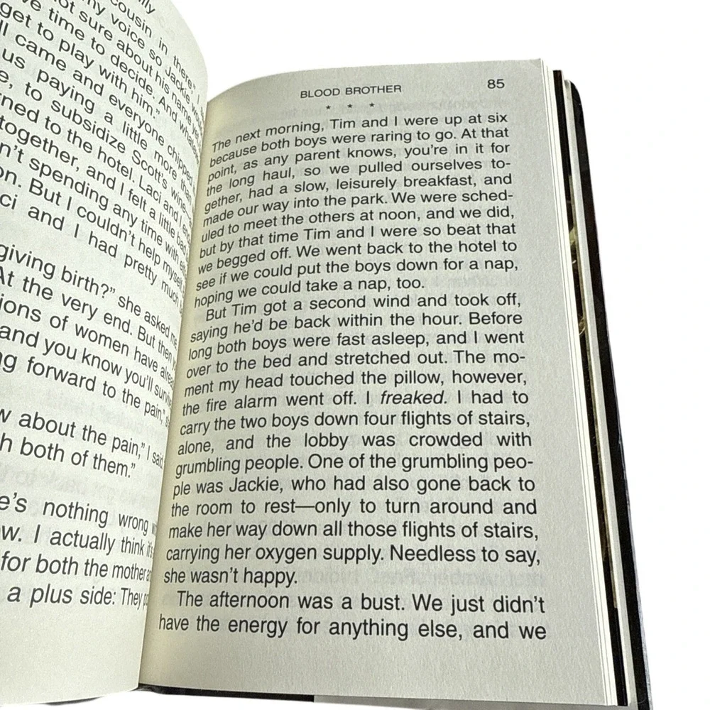 Blood Brother by Anne Bird (2005,‎ Hardcover) 33 Reasons My Brother Is Guilty